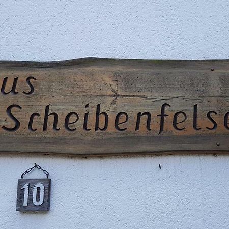 Haus Am Scheibenfelsen Apartment St. Blasien Exterior photo