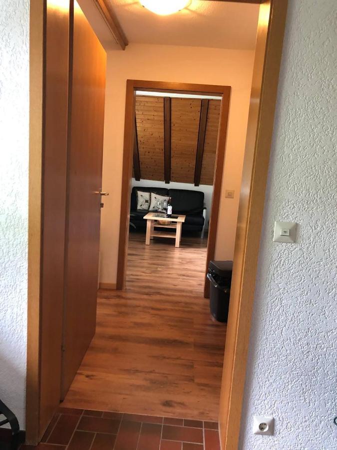 Haus Am Scheibenfelsen Apartment St. Blasien Exterior photo